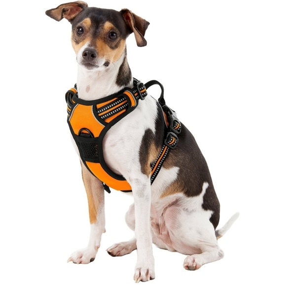 Chai's Choice Outdoor Harness