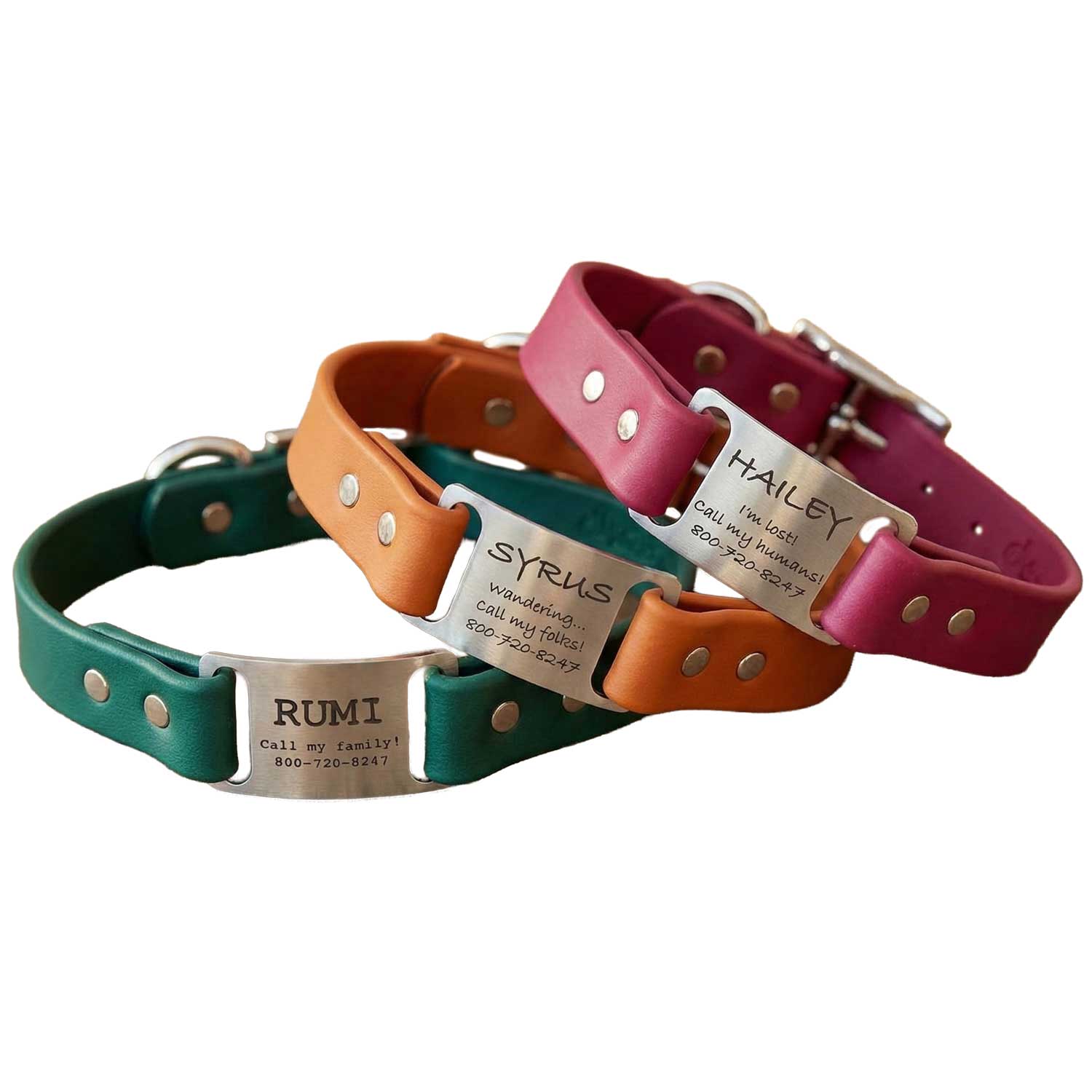 dogIDs Waterproof Engraved Dog Collar